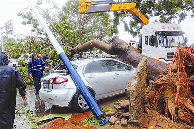 海燕凶猛来袭 台风天行车须注意 - 热点关注 