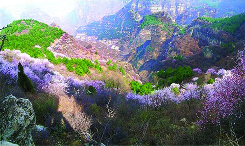 河北武安 - 巡展回顾 - 第一车网