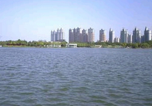 山东龙口 - 巡展回顾 - 第一车网