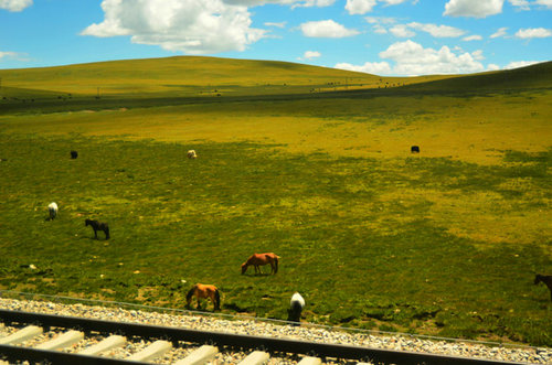 【收藏贴】勇闯天路 十一自驾进藏全攻略(准备
