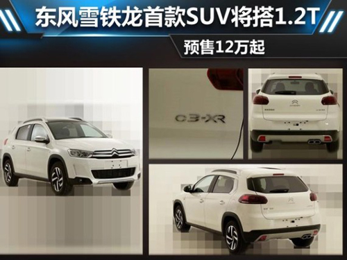 点击这里看大图