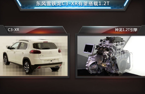 点击这里看大图