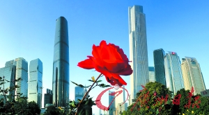 点击这里看大图