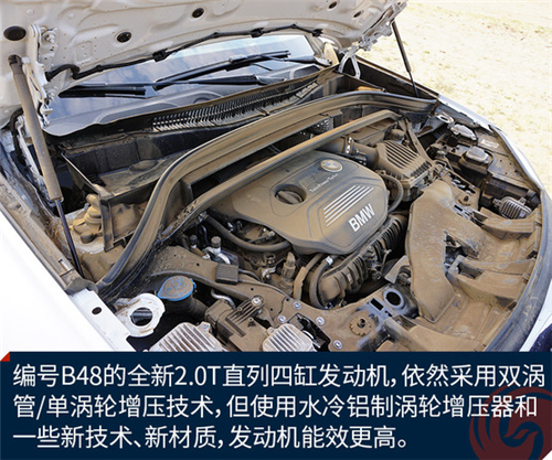 点击这里看大图