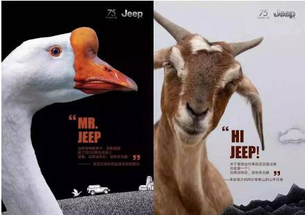 点击这里看大图