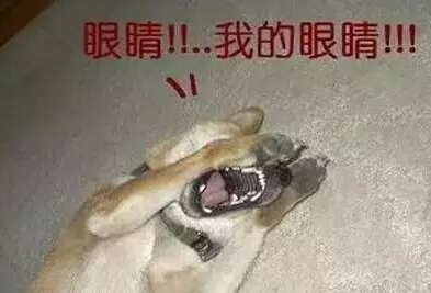 网站首页 论坛首页 七嘴八舌